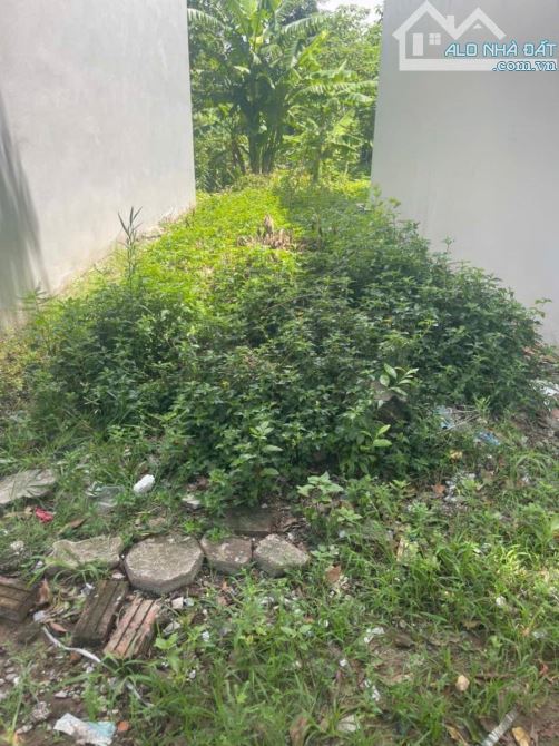 BÁN LÔ ĐẤT TĐC TỨ HIỆP . PHÂN LÔ VỈA HÈ KINH DOANH. DT 30 M . ĐẦU TƯ NHANH - 2