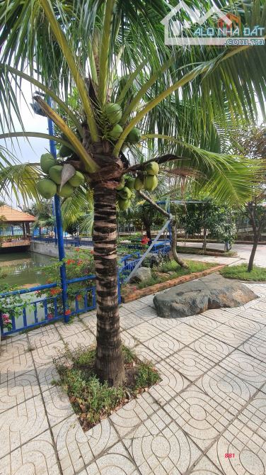 Bán Nhà Vườn Sinh Thái 9660m2 Phường Tân Hạnh ,Biên Hoà, Đồng Nai Giá 58tỷ - 2