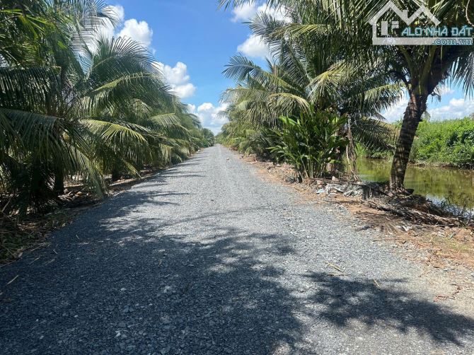 Bán Đất Vườn Lê Minh Xuân – Diện tích 5.000 m² - 2