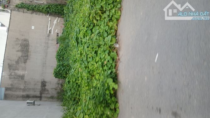 Bán 2 lô đất - Mặt tiền Thạnh Lộc 29 - Ngay Chợ Cầu đồng - 120m2 - Giá 6,5 tỷ - 2