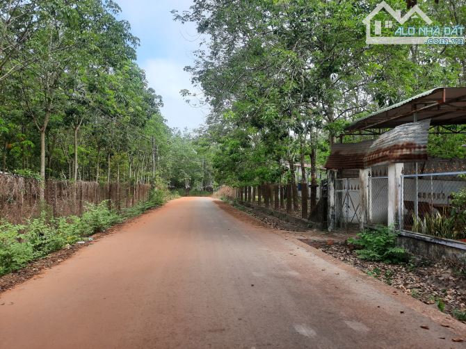 Đất trung tâm Dầu Tiếng đường nhựa thông dân full mà chỉ 1,2ty...Ace nhà đầu tư lh em họp - 2