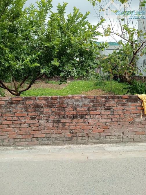 Đông Dư Giáp Hải -45m MT 5m_Thông Thoáng- ở đầu tư tốt- CHỈ 3 Tỷ - 2