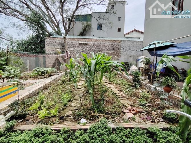 Bán đất 35m2 thị trấn Trâu Quỳ, ô tô vào đất, giá đầu tư - 2
