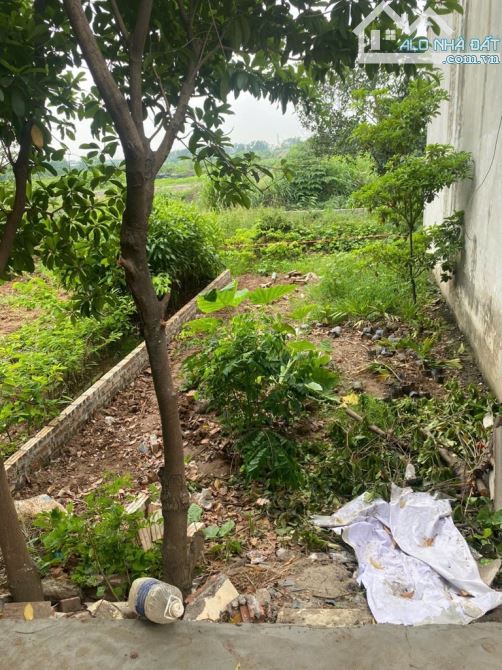 Bán đất Trâu Quỳ đường ô tô tránh - 2