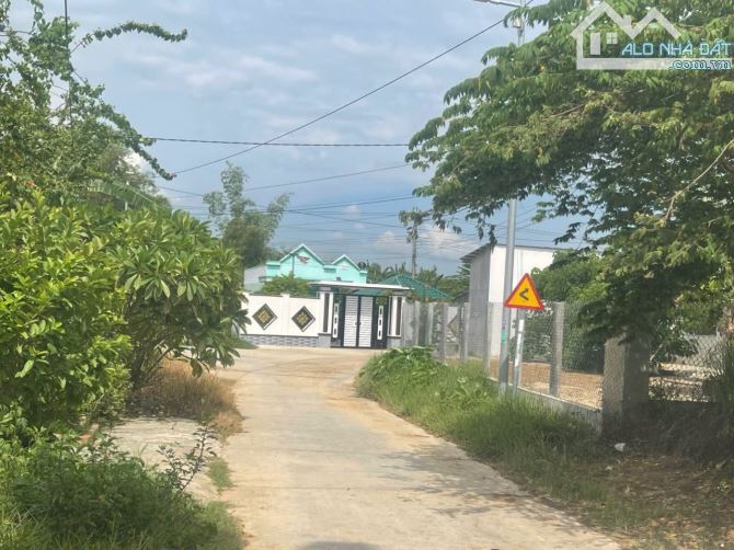 🌾BÁN ĐẤT NINH XUÂN TX NINH HOÀ ĐƯỜNG 8M NGAY KHU DÂN CƯ - 3