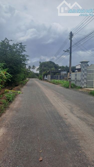 BÁN ĐẤT NHÀ VƯỜN LONG PHƯỚC – DIỆN TÍCH 600M² – GIÁ TỐT, GẦN SÂN BAY QUỐC TẾ LONG THÀNH - 3