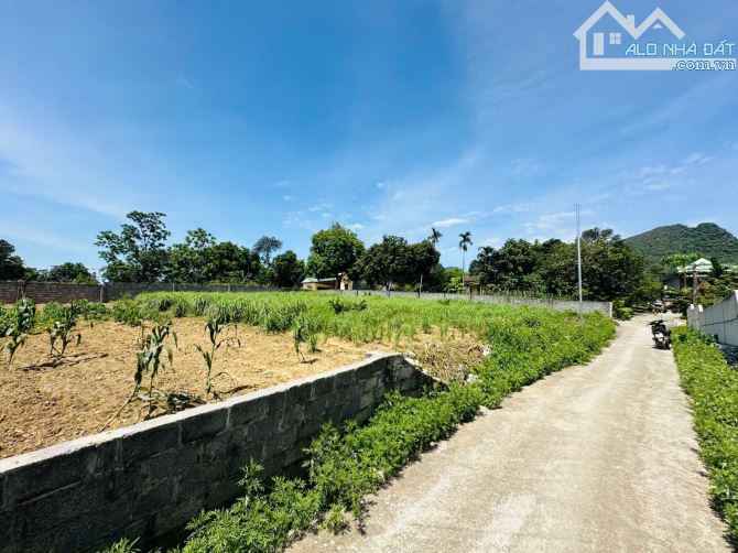 BÁN GẤP LÔ ĐẤT 2 MẶT TIỀN CÓ DT 1081m2 CÁCH CHỢ QUÁN TRẮNG CÓ 800m GIÁ ĐẦU TƯ - 3