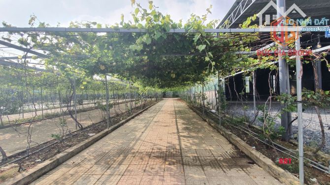 Bán Nhà Vườn Sinh Thái 9660m2 Phường Tân Hạnh ,Biên Hoà, Đồng Nai Giá 58tỷ - 4