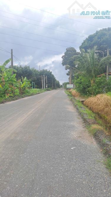 BÁN ĐẤT NHÀ VƯỜN LONG PHƯỚC – DIỆN TÍCH 600M² – GIÁ TỐT, GẦN SÂN BAY QUỐC TẾ LONG THÀNH - 4