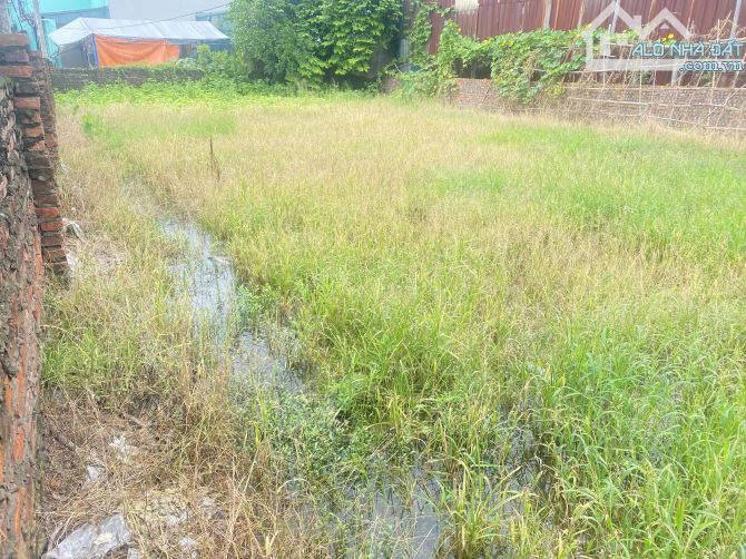 600m2 Đường Thông, Ô tô Tránh. Thôn Nhuế, Thiên Lộc, HN - 4