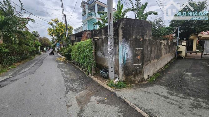 Bán biệt thự vườn P. Trung Dũng, Biên Hòa: 1.197m2, giá 21 tỷ. - 5