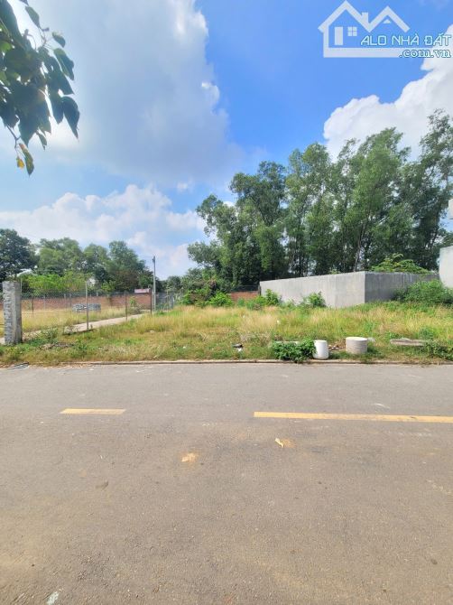 Bán 3 Lô đất 93,4m2 2ty8 TL MT đường Tân Hiệp , Gần chợ Phú An 300m. - 5