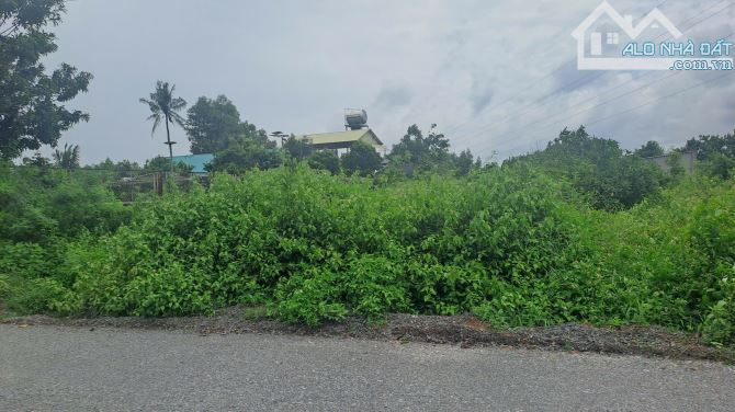 BÁN ĐẤT NHÀ VƯỜN LONG PHƯỚC – DIỆN TÍCH 600M² – GIÁ TỐT, GẦN SÂN BAY QUỐC TẾ LONG THÀNH - 5