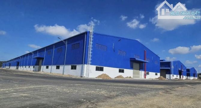 Cho thuê nhiều kho xưởng trong KCN Phú Mỹ 1: 4500m2; 7000m2; 10.000m2; 20.000m2; 50.000m2 - 6