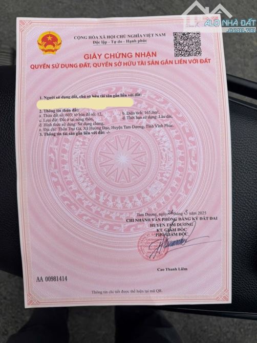 Bán đất 3 mặt tiền thôn Trại gà, Hướng Đạo, Tam dương. sử dụng 250m2 - 6