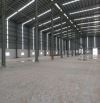 Cho Thuê Kho Xưởng Mới 5200m2, Pháp Lý Chuẩn, Bến Lức, Long An. gần kcn Phú An Thạnh