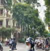Biệt thự Mễ Trì, Nam Từ Liêm, siêu đẹp, an sinh đỉnh, kinh doanh tốt, 215m2, giá 47.5 tỷ