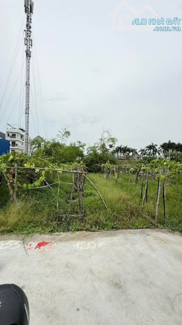 💥 SIÊU PHẨM LÔ ĐẤT ĐẸP TRANG QUAN – 120M² – MẶT TIỀN 6,7M – ĐỐI DIỆN CÔNG VIÊN AN ĐỒNG - 2