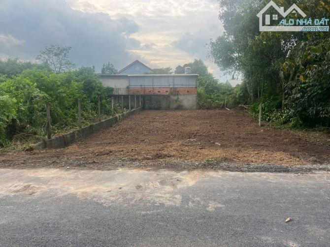 Cần bán đất mặt tiền nhựa 1/ Bùi Thị Điệt đường 492 10x23 120m thổ cư