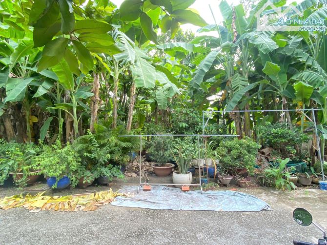 BÁN ĐẤT DỰ ÁN TRƯỜNG THỊNH – ĐƯỜNG 64, PHƯỜNG BÌNH TRƯNG ĐÔNG, Quận 2, 8x20m đường 10M