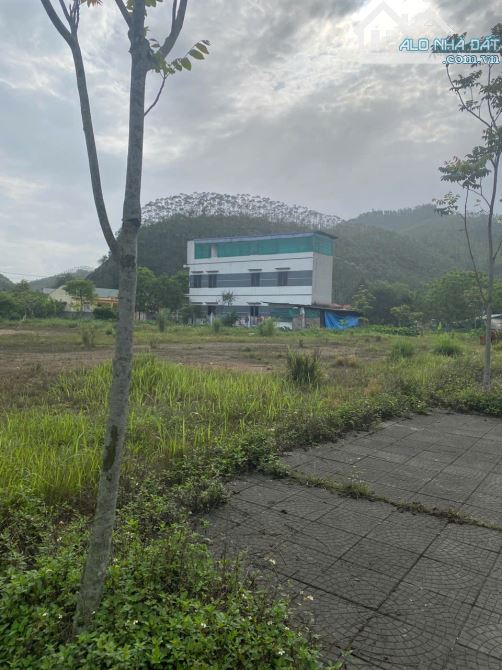 BÁN LÔ ĐẤT 200M² PHÂN LÔ TẠI YÊN LẬP – ĐƯỜNG RỘNG – GẦN CHỢ – SỔ SẴN