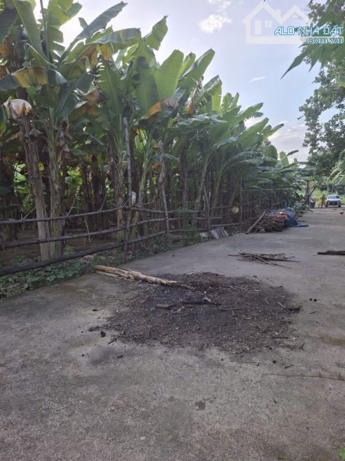 Chuyển nhượng 750 m² đất ở hai mặt tiền - 1