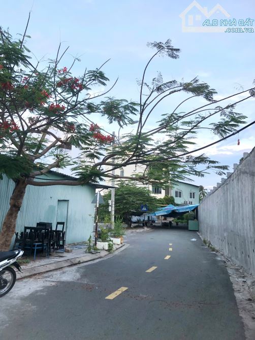 🌾BÁN ĐẤT TÁI ĐỊNH CƯ HÒN ĐỎ ĐỐI DIỆN BIỂN HÒN CHỒNG - 1