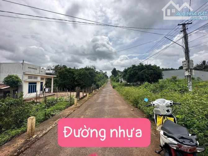 BÁN LÔ ĐẤT ĐƯỜNG 20A ĐẠT LÝ , PHƯỜNG TÂN AN, BUÔN MA THUỘT  GIÁ CHỈ 1tỷ 150 - 1
