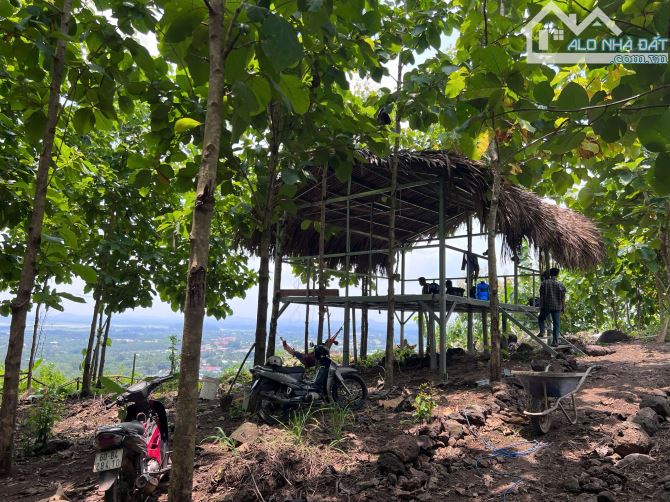 CẦN BÁN GẤP VƯỜN NGHỈ DƯỠNG VIEW HỒ TRỊ AN ĐỊNH QUÁN, ĐỒNG NAI - 1