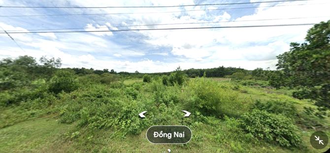 BÁN RẺ 6.000m2 ĐẤT GẦN CHỢ XÃ ĐỒI 61, GIÁO XỨ HƯNG THỊNH, SỔ HỒNG, ĐƯỜNG NHỰA 8m (CC005)