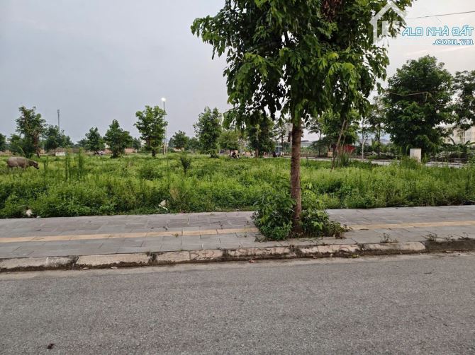 Bán lô đấu giá Giang Liễu Quế Võ dt 90m mt 6m hướng tây giá 4.75 tỷ - 1