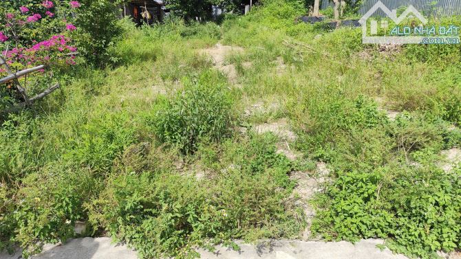 BÁN ĐẤT TRỤC CHÍNH PHÚ QUÝ ĐẠI HIỆP RA SỔ NGANG 6M - 1