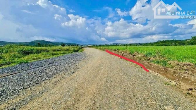 🔥CỰC HIẾM. Bán đất đường Đinh Công Tráng, Lộc Châu Phường 3 Bảo Lộc - 1