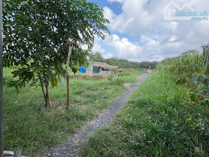 1000m2 Lô Góc 2 MT Đường Hẻm Nhựa 6m Lê Văn Lương Nhà Bè Giá Rẻ - 1