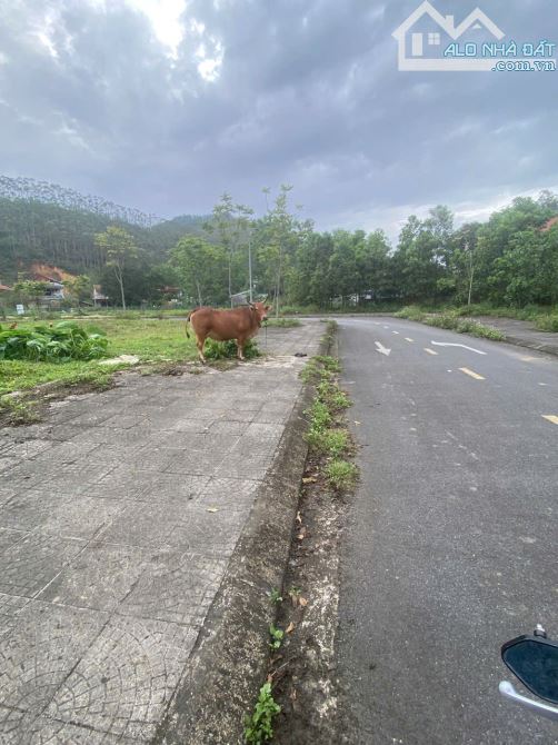 BÁN LÔ GÓC 198M KHU BẾN SƠN – Ô TÔ TRÁNH – KINH DOANH – SỔ SẴN - 1
