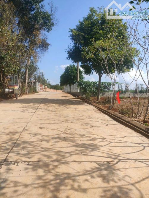 BÁN ĐẤT PHƯỜNG EAKAO BMT 835TR 5X37 TC60M ĐƯỜNG 2ÔTÔ VI VU DÂN CƯ HIỆN HỮU SÁT KHU DU TIỀM - 1