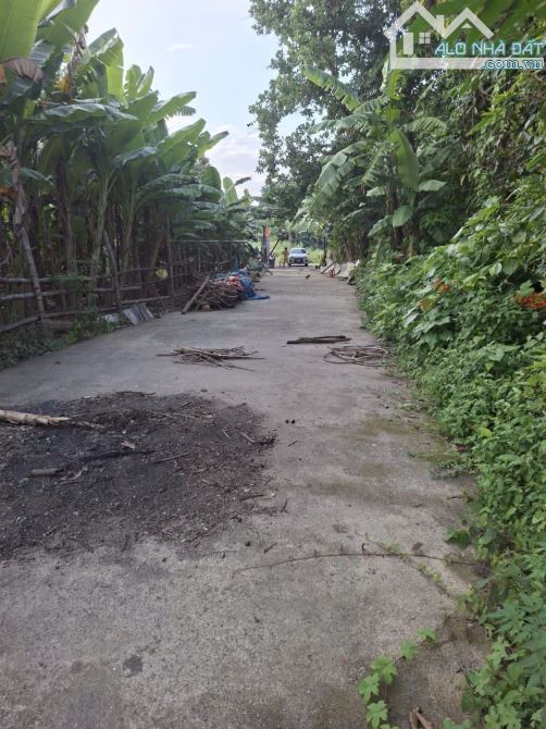 Chuyển nhượng 750 m² đất ở hai mặt tiền - 2