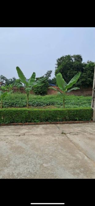 CẦN BÁN LÔ ĐẤT GẦN ĐƯỞNG QUẢNG TRƯỜNG PHỔ YÊN KÉO DÀI DIỆN TÍCH 156M GIÁ 1TỶ 250TR. - 2