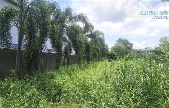 HIẾM - Lô Đất Mặt tiền đường NGUYỄN THỊ SÁU, Hóc Môn, Diện tích 463m2 (6 x 52), nở hậu 14m - 2