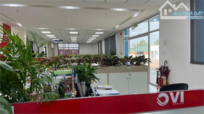 XT463 cho thuê kho ngoại quan, trống kho bàn giao lưu hàng liền. vị trí thuận lợi - 2