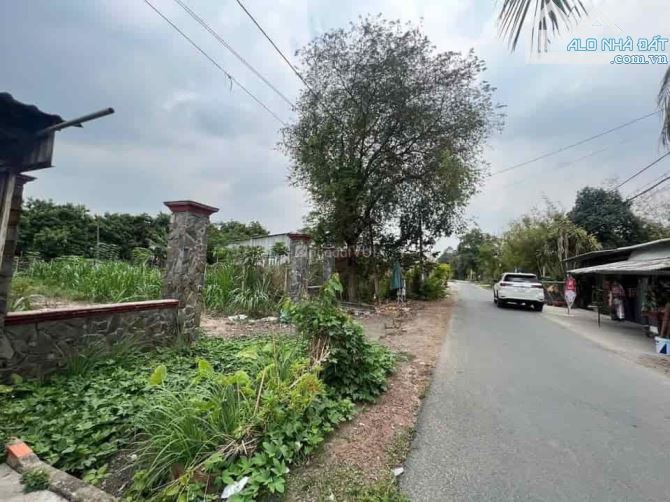 Chú chủ cần tiền gấp cho con vào đại học! Bán nhanh 188.2m2 đất, SHR, pháp lí chuẩn chỉnh - 2