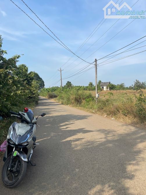 Bán gấp đất sào ấp 3 sông trầu ( ấp 11 xã Trảng Bom Mới) giá 4 tỷ đường nhựa thông. - 2