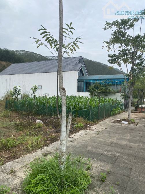 BÁN ĐẤT TRUNG TÂM YÊN LẬP – 198M² – Ô TÔ VÀO NHÀ – KINH DOANH CỰC TỐT - 2