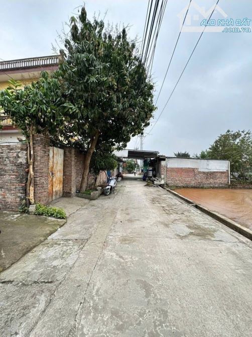 BÁN ĐẤT DỤC TÚ ĐÔNG ANH 42m NHỈNH 3TỶ - 2