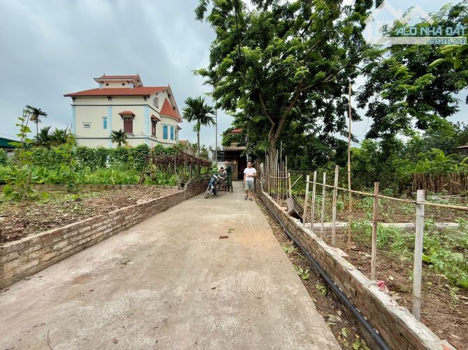 Hiếm gộp được cả 3 lô hơn 300m2 đất ở tại Phú Thị - Mễ Sở sát đường Di Sản, Vành đai 4… - 2