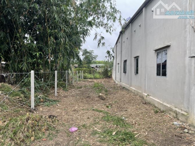 CẦN BÁN LÔ ĐẤT 115M2, GIÁ 600TR, BASA, TÂN PHÚ TRUNG, CỦ CHI - 3