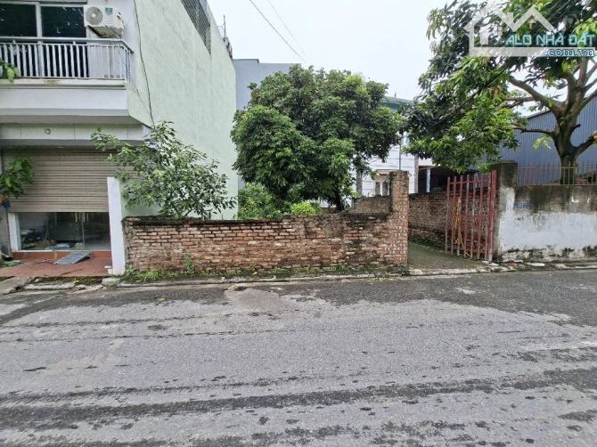 Bán đất lô góc 65m2 đường ô tô tránh, kinh doanh tại Bát Khối - Đông Dư - 3