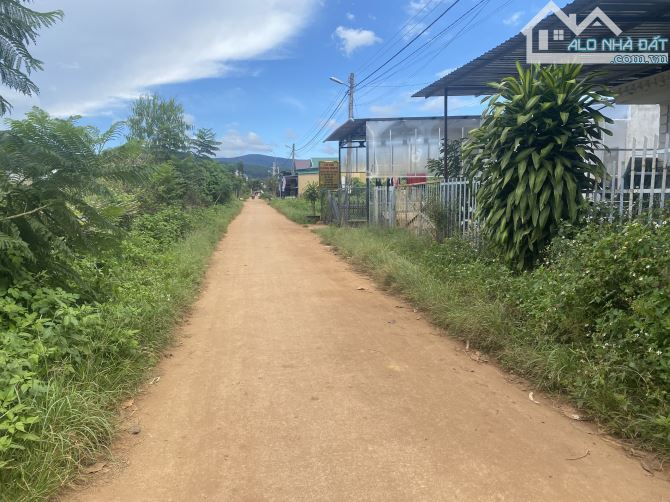BÁN NHÀ ĐẤT KHU QUY HOẠCH ĐỒNG VÀNG, TÀ NUNG – ĐÀ LẠT - 3