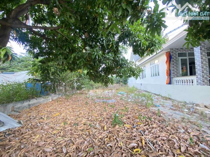 Bán đất mặt tiền Thân Nhân Trung- Bắc Nha Trang.Dt 247,4m ngag 8,08m full thổ.Giá 85tr/m - 3
