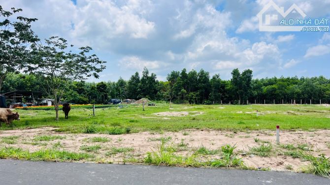 1000m2 (15x68m) gần biển Lộc An - BRVT - 3